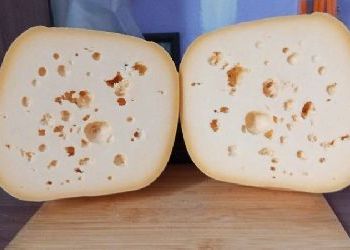 Вдова ветерана СВО в Приамурье возродила семейный бизнес в память о муже