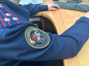 В Воронежской области по ходатайству органов следствия шестерым подозреваемым в похищении несовершеннолетних и вымогательстве у них денежных средств избрана мера пресечения в виде заключения под стражу