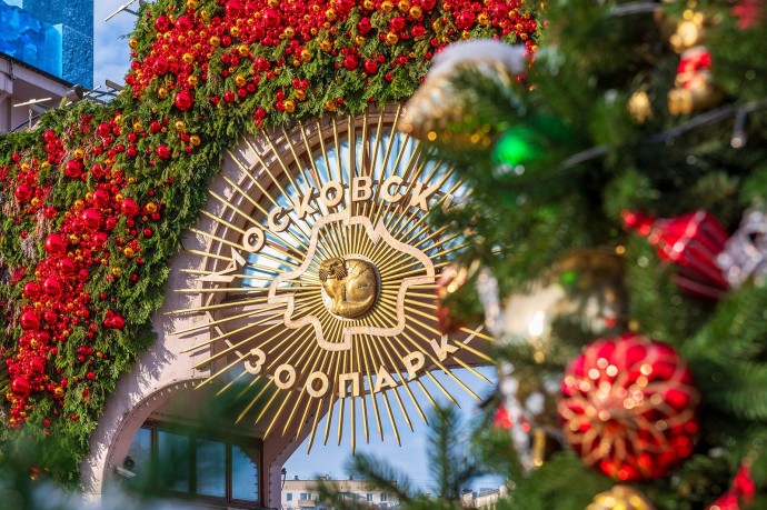 Музеи, катки и пушкинские места: какие туристические объекты столицы популярны у пользователей Russpass