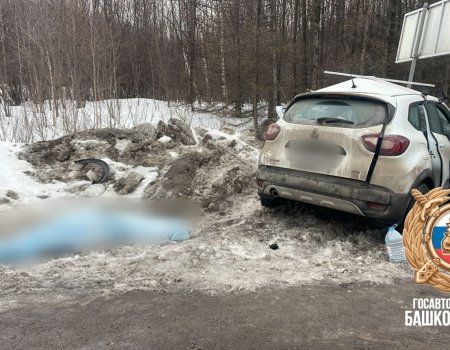 В Башкирии в ДТП с грузовиком погиб пожилой водитель «Рено»