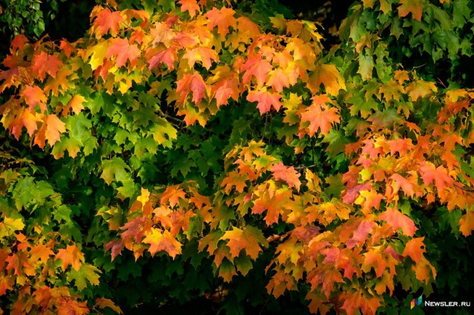 В выходные кировчан ждет пасмурная дождливая погода