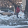 Благовещенцев призывают не кормить голубей