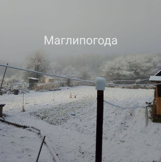 Волшебство зимней ночи: Приморье укрыло снежным покрывалом Волшебство зимней ночи: Приморье укрыло снежным покрывалом
