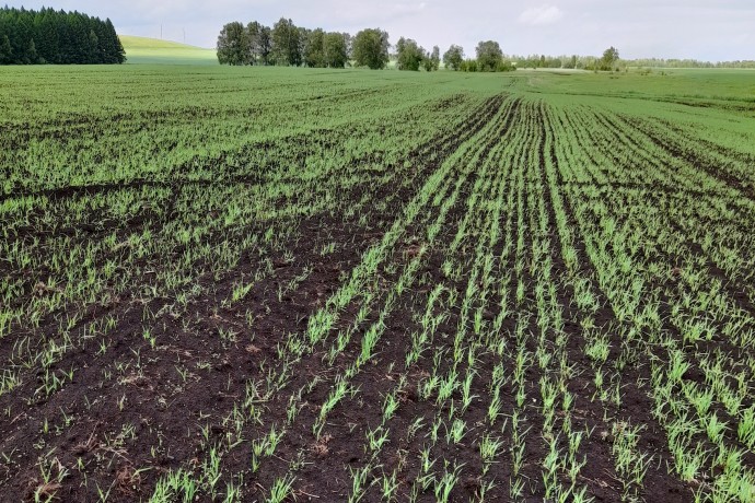 Дальневосточной ипотекой воспользовались 156 тыс. семей