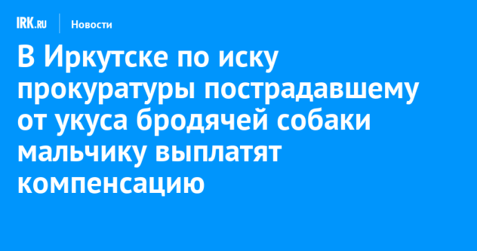 В Иркутске по иску прокуратуры пострадавшему от укуса бродячей собаки мальчику выплатят компенсацию