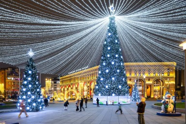 В столице установили более тысячи новогодних елей