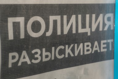 Сын автора известного российского сериала 2000-х объявлен в розыск за экстремизм