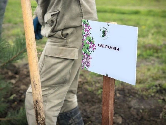 Участники акции «Сад памяти» высадили в Переславском лесничестве более 8 тысяч елей