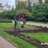 В Белгороде начали готовить клумбы и высаживать цветы к летнему сезону