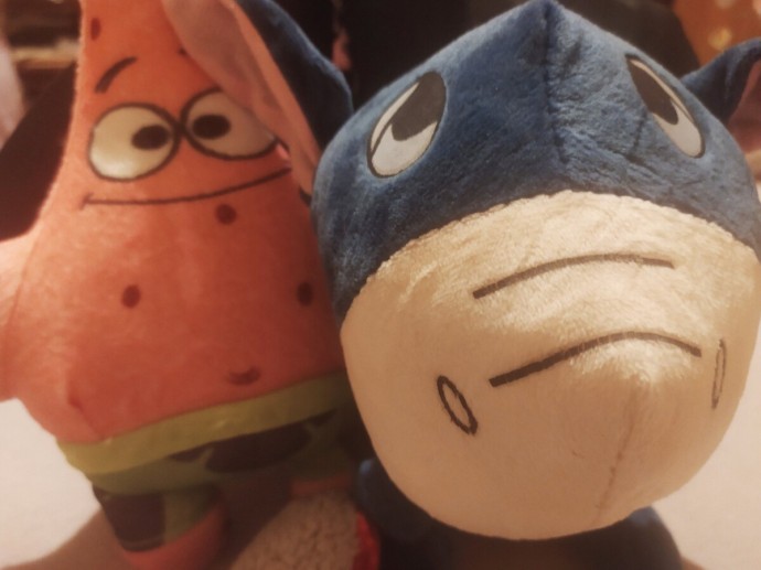 Больше тысячи костромских семей получили миллионы за первых детей Больше тысячи костромских семей получили миллионы за первых детей