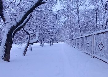 Желтый уровень метеоопасности объявили на севере Приамурья
