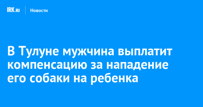 В Тулуне мужчина выплатит компенсацию за нападение его собаки на ребенка В Тулуне мужчина выплатит компенсацию за нападение его собаки на ребенка
