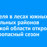 10 апреля в лесах южных и центральных районов Иркутской области откроют пожароопасный сезон