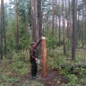 В Курской области за неделю оштрафовали четырёх браконьеров