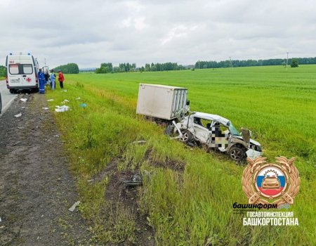 В Башкирии в массовом ДТП погибли два человека