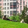 В Москву пришла невероятная жара. Эти советы помогут не пострадать