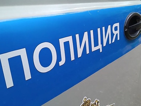 Житель Москвы пытался продать в Мордовию несуществующий баян