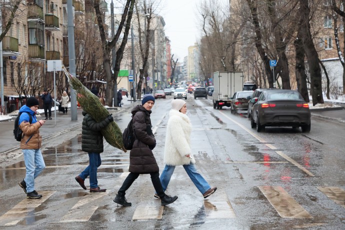 В московском метро можно провозить бесплатно ель высотой до 120 сантиметров