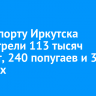 В аэропорту Иркутска досмотрели 113 тысяч цыплят, 240 попугаев и 30 черепах