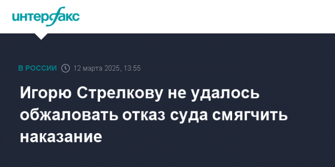 Игорю Стрелкову не удалось обжаловать отказ суда смягчить наказание