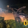 В результате ДТП с лосем под Ярославлем госпитализирована семилетняя девочка