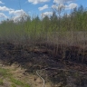 В Ногликском районе огонь охватил 600 "квадратов" сухой травы