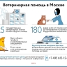 От контакт-центра до телеветеринарии: какие услуги предлагает госветслужба владельцам животных