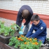Белгородские подростки участвуют в озеленении Белгорода