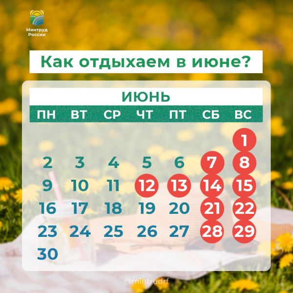 Минтруд рассказал о переносе выходных в июне 