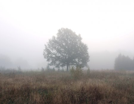 К концу недели в Башкирии похолодает, температура опустится ниже нуля К концу недели в Башкирии похолодает, температура опустится ниже нуля