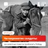 Как животные помогали одержать Победу: от собак-сапёров до слонов-спасателей