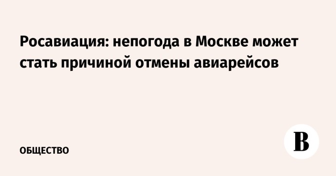 Росавиация: непогода в Москве может стать причиной отмены авиарейсов