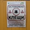 Детсады, школы и оздоровительные лагеря обязаны провести обработку от клещей