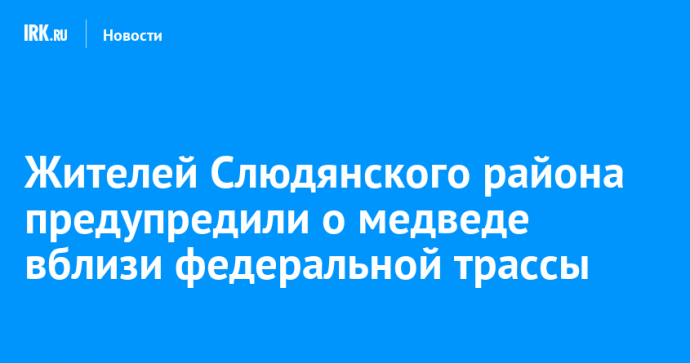 Жителей Слюдянского района предупредили о медведе вблизи федеральной трассы