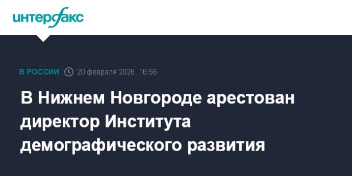 В Нижнем Новгороде арестован директор Института демографического развития