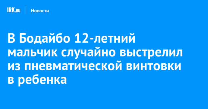 В Бодайбо 12-летний мальчик случайно выстрелил из пневматической винтовки в ребенка