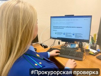 Администрация Алексина недостаточно информирует малый и средний бизнес