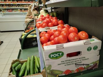 В Башкирию ввезли 1,3 тыс. тонн импортных фруктов