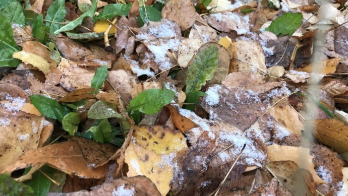 На Башкирию надвигаются дожди со снегом На Башкирию надвигаются дожди со снегом