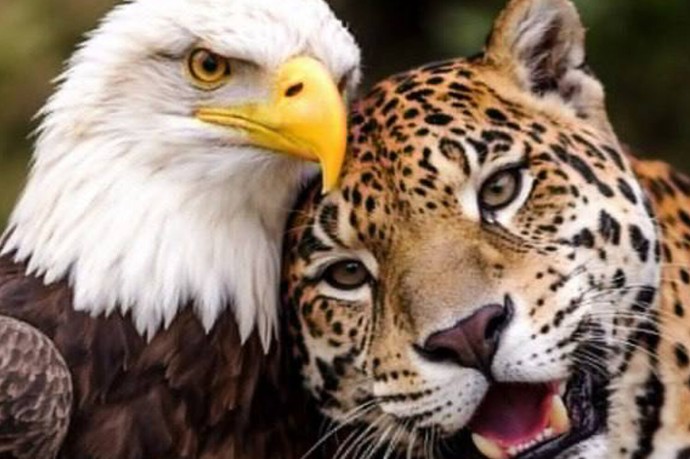 Президенты США и Колумбии обсудили возникшие разногласия Президенты США и Колумбии обсудили возникшие разногласия