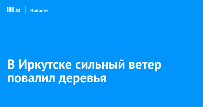В Иркутске сильный ветер повалил деревья