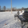 На катках школ № 56 и № 52 в Курске появились лавочки по просьбам жителей