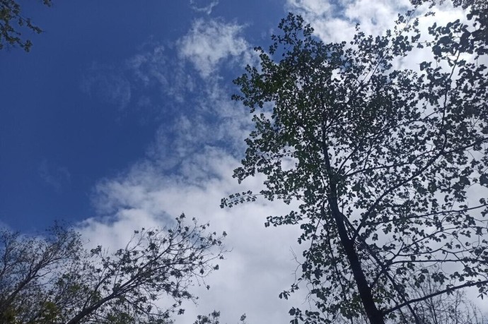 Ночные морозы установились в Костромской области