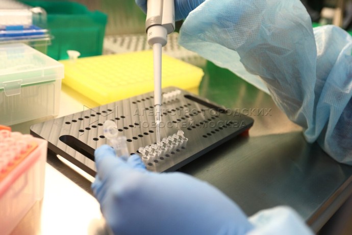 Роспотребнадзор изучает информацию о новом коронавирусе в Бразилии Роспотребнадзор изучает информацию о новом коронавирусе в Бразилии