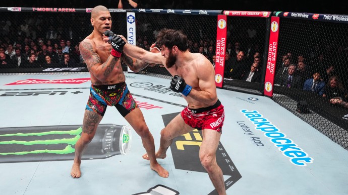 UFC 320: где смотреть онлайн, время начала, прямая трансляция боя Анкалаев – Перейра
