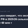 Минсельхоз ожидает, что экспорт зерна из РФ в 2025/26 сельхозгоду составит 60 млн т
