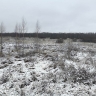 В Мордовии сельхозпредприятие оштрафовали за неиспользование земель