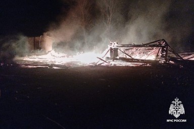 В Ярославской области заживо сгорели 150 индюшек