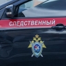 Российский пенсионер спас внука от напавшей на него с ножом дочери