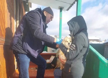 В Улан-Удэ ловили безнадзорных собак